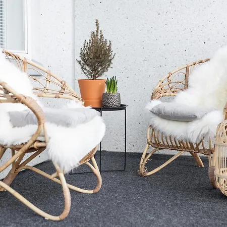 Arctic Aurora Rovaniemi